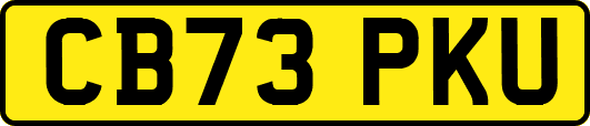 CB73PKU