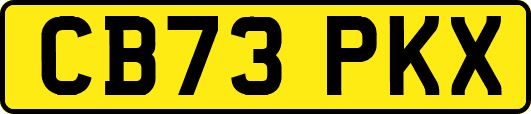 CB73PKX