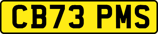 CB73PMS