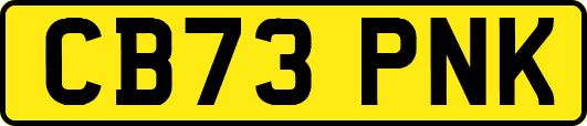 CB73PNK