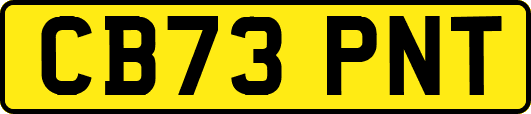 CB73PNT
