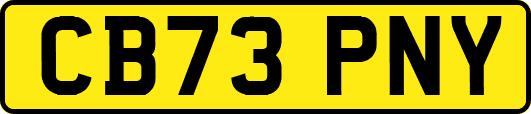 CB73PNY