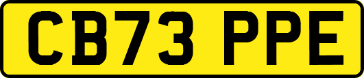 CB73PPE