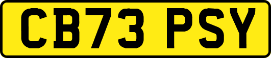 CB73PSY