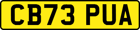 CB73PUA