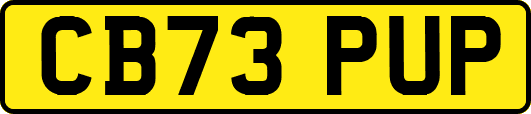 CB73PUP