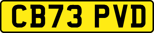 CB73PVD