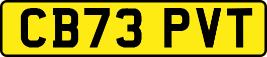 CB73PVT