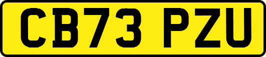CB73PZU