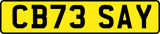 CB73SAY
