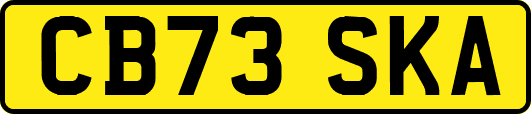 CB73SKA