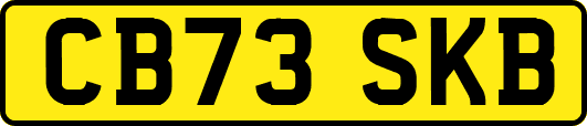 CB73SKB