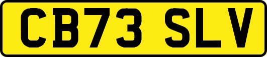 CB73SLV