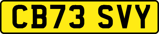 CB73SVY
