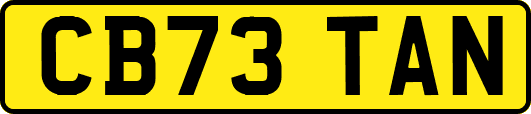 CB73TAN