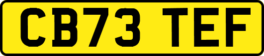 CB73TEF