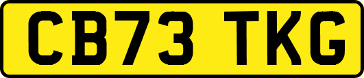 CB73TKG
