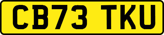 CB73TKU