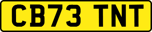 CB73TNT