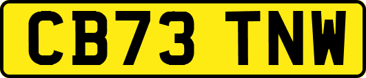 CB73TNW