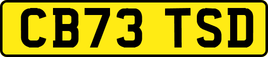 CB73TSD