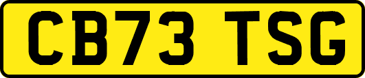 CB73TSG