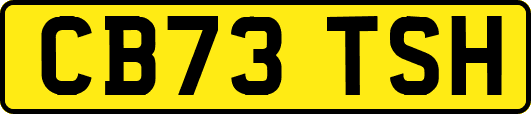 CB73TSH