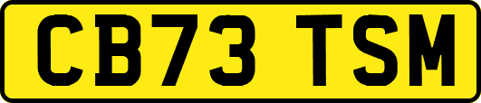 CB73TSM