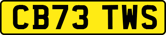 CB73TWS