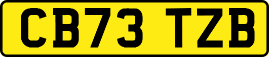 CB73TZB