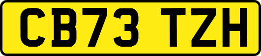 CB73TZH