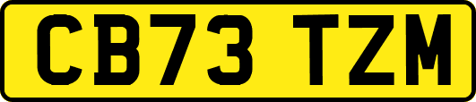 CB73TZM