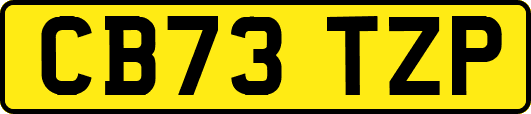 CB73TZP