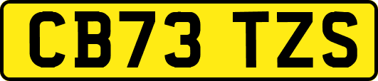 CB73TZS