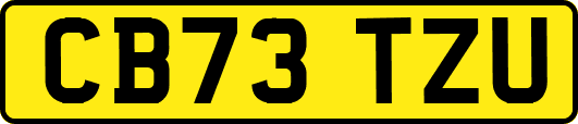 CB73TZU