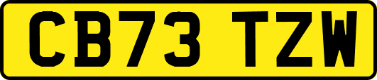 CB73TZW