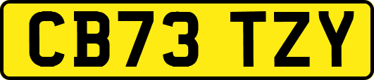 CB73TZY