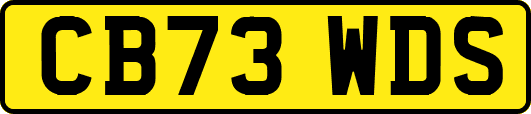 CB73WDS
