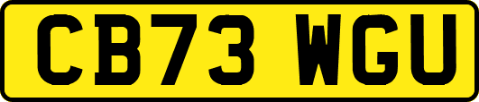 CB73WGU