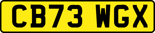 CB73WGX