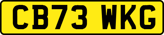 CB73WKG