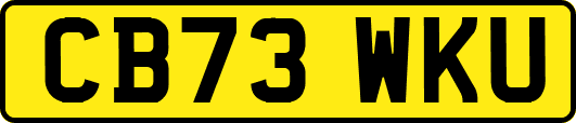 CB73WKU