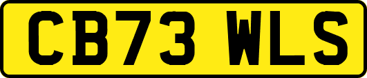 CB73WLS