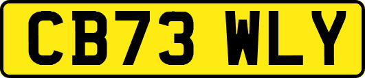 CB73WLY