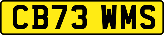 CB73WMS
