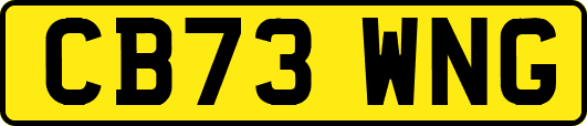 CB73WNG