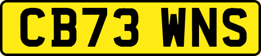 CB73WNS