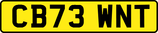 CB73WNT
