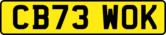 CB73WOK