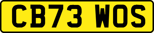 CB73WOS